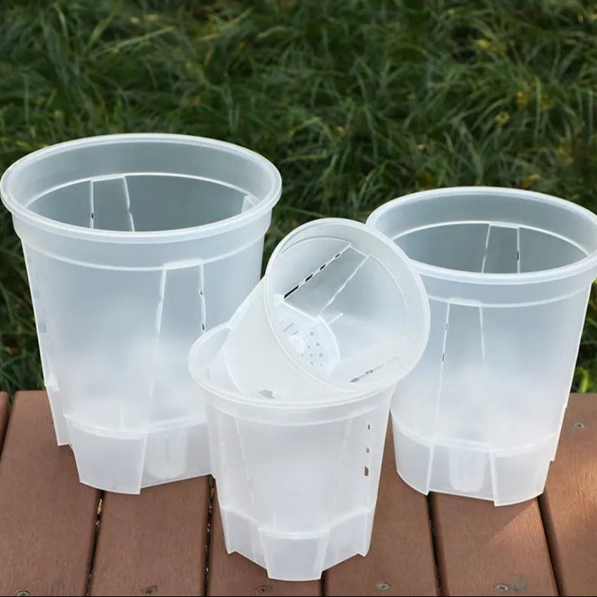 Transparent Self Watering Pots