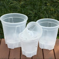 Transparent Self Watering Pots