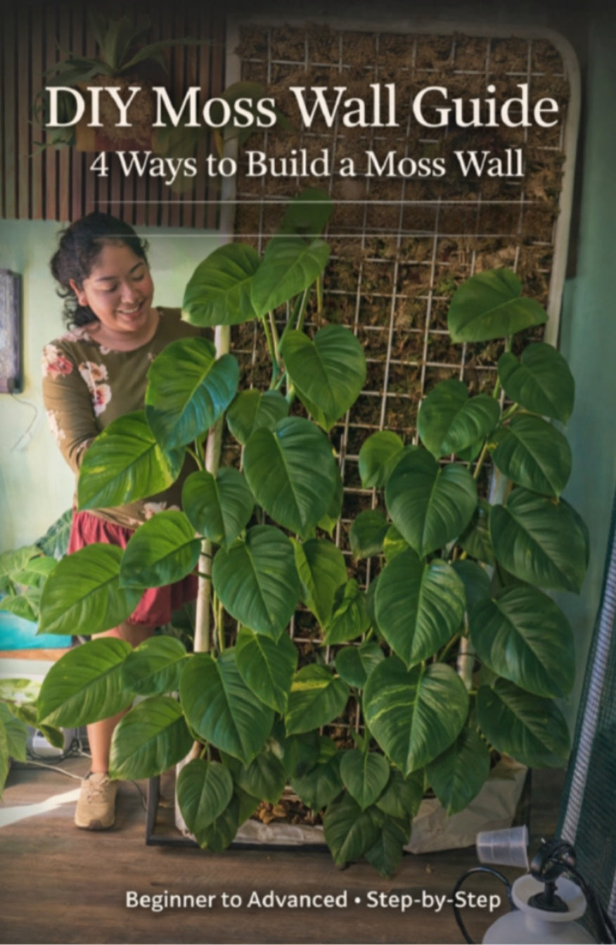 DIY Moss Wall Guide